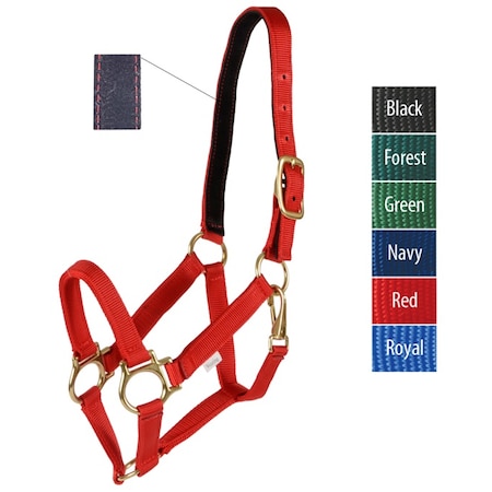 Jacks Imports Track Halter GREEN WEANLING